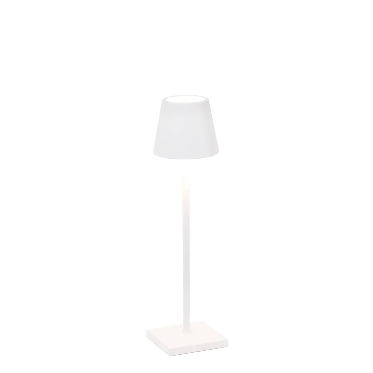 Zafferano Poldina Micro